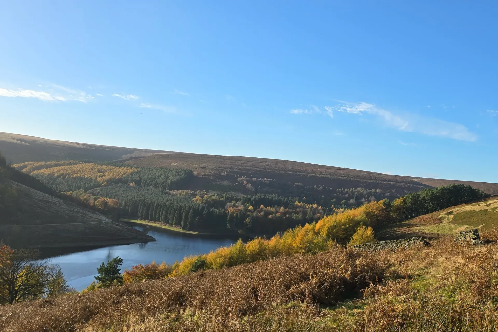 A reservoir in an autumn valley. Gold and dark green trees cover the slopes under a clear blue sky.